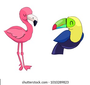 Hand Drawn Cute Flamingo and Toucan Vector Illustration