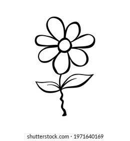 Hand drawn cute flower on stem. Clip art, black and white stylized botanical elements for design isolated. Vector illustration in doodle cartoon style
