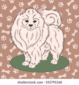 Hand drawn cute fluffy dog on brown background with paws and bones. Vector illustration.