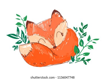 Hand Drawn Cute Fox Vector Illustration, Woodland animal, Print for children's t-shirts.