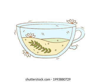 Hand drawn cute glass cup of herbal tea with chamomile, isolated vector illustration on white background