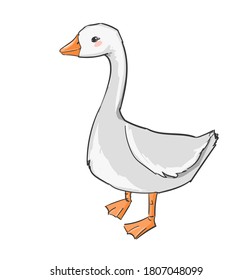 Hand drawn cute goose isolated on white background vector illustration