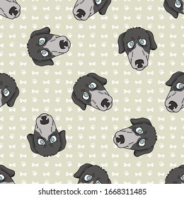 Hand drawn cute greyhouse race dog face seamless vector pattern. Purebred pedigree fast puppy domestic pet on background. Dog lover agility dog pet all over print. Kennel Pooch. EPS 10. 