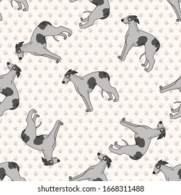 Hand drawn cute greyhouse race dog seamless vector pattern. Purebred pedigree fast puppy domestic pet on background. Dog lover agility dog pet all over print. Kennel Pooch. EPS 10. 