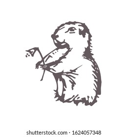 Hand drawn cute groundhog with flower isolated on white background. Groundhog day. Vector illustration