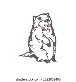 Hand drawn cute groundhog isolated on white background. Groundhog day. Vector illustration