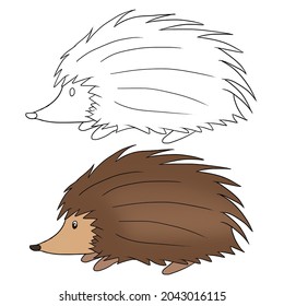Hand drawn cute Hedgehog Animal collection vector illustration isolated in a white background, wildlife Animal drawings