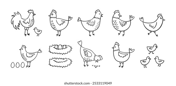 Dibujado a mano lindo conjunto de pollos de gallina. Estilo de boceto de gallinas de granja Doodle. Divertido esquema de aves domésticas, concepto de aves de corral. Ilustración vectorial