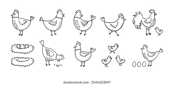 Dibujado a mano lindo conjunto de pollos de gallina. Estilo de boceto de gallinas de granja Doodle. Divertido esquema de aves domésticas, concepto de aves de corral. Ilustración vectorial