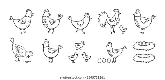 Conjunto de galinhas de galinha desenhadas à mão. Estilo de esboço de galinhas de fazenda de doodle. Engraçado delinear aves domésticas, conceito de aves. Ilustração vetorial