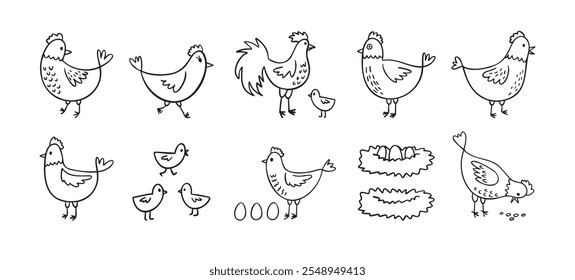 Conjunto de galinhas de galinha desenhadas à mão. Estilo de esboço de galinhas de fazenda de doodle. Engraçado delinear aves domésticas, conceito de aves. Ilustração vetorial