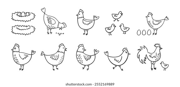 Conjunto de galinhas de galinha desenhadas à mão. Estilo de esboço de galinhas de fazenda de doodle. Engraçado delinear aves domésticas, conceito de aves. Ilustração vetorial