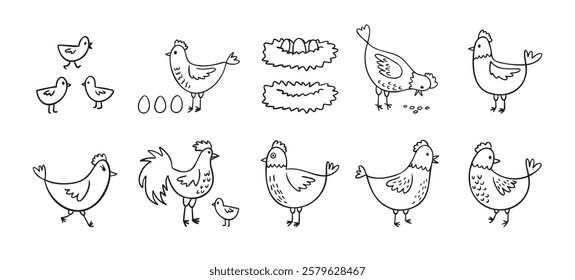 Hand drawn cute hen chickens set. Doodle farm chickens sketch style. Funny outline domestic birds, poultry concept. Vector illustration