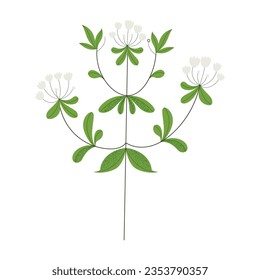 Hand drawn cute herb plant, isolated vector illustration in flat style