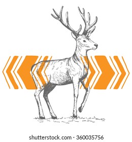 Hand drawn cute hipster deer