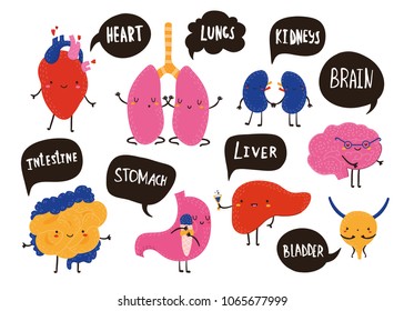 Hand drawn cute human organs. Colored vector set. All elements are isolated