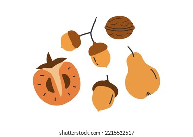 Hand drawn cute illustration of autumn natural elements set. Flat vector acorn, pear, persimmon, walnut in simple colored doodle style. Forest, garden sticker, icon or print. Isolated on background.