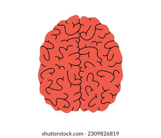 Hand drawn cute illustration human brain view from above. Flat vector internal organ, intellect symbol in doodle style. Mental health, illness, medicine sticker, icon. Isolated on white background.