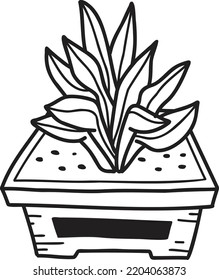 Hand Drawn cute indoor plant illustration isolated on background
