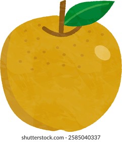 
hand drawn cute Japanese pear illustration