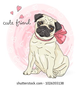 Hand drawn cute, little cartoon dog pug. Vector illustration.