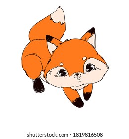 Hand drawn cute little fox beautiful childish vector illustration