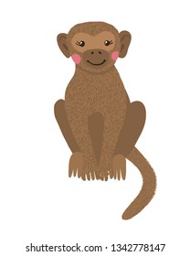 Hand drawn cute monkey isolated on white background. Tropical animal. Vector illustration.