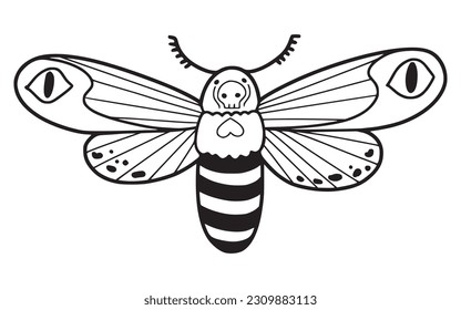 Hand drawn cute moth, isolated vector illustration in line doodle design, isolated on white background