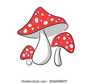 Hand drawn Cute Mushroom vector illustration 