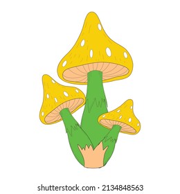 Hand drawn cute mushroom vector illustration