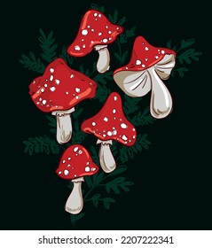 Hand drawn Cute Mushroom vector illustration amanita