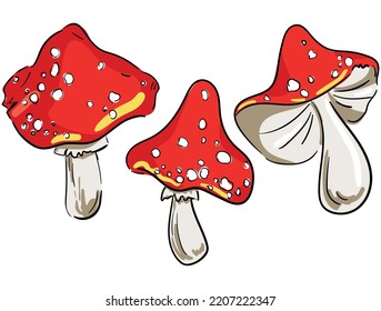 Hand drawn Cute Mushroom vector illustration amanita