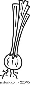 Hand Drawn cute onion illustration isolated on background