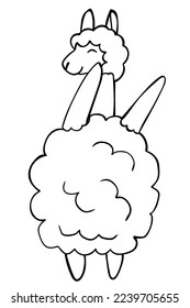 Hand drawn cute outline llama isolated on white background. Perfect for coloring page, coloring book, print. Vector illustration.