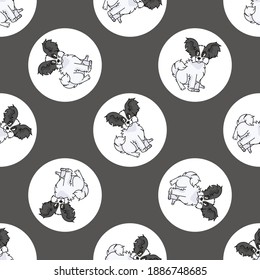 Hand drawn cute Papillon dog breed in polka dot seamless vector pattern. Purebread pedigree puppy domestic on dotty background. Dog lover toy dog all over print. Kennel club pooch. 
