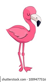 Hand Drawn Cute Pink Flamingo Vector Illustration