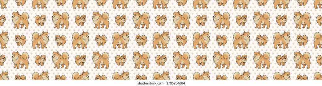 Hand drawn cute pomeranian breed dog and puppy seamless border pattern. Purebred pedigree domestic dog background. Dog lover fluffy spitz pet washi ribbon. Kennel pooch EPS 10. 