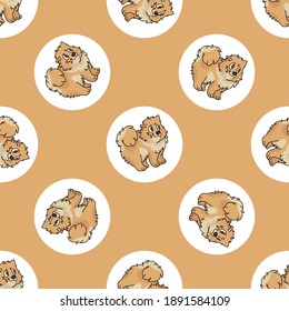 Hand drawn cute Pomeranian dog breed in polka dot seamless vector pattern. Purebred pedigree puppy domestic on dotty background. Dog lover spitz all over print. Kennel club pooch. 