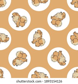 Hand drawn cute Pomeranian dog breed in polka dot seamless vector pattern. Purebred pedigree puppy domestic on dotty background. Dog lover spitz all over print. Kennel club pooch. 