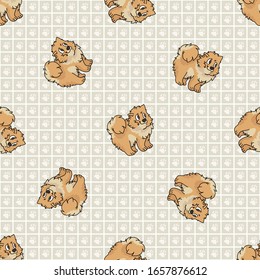 Hand drawn cute pomeranian puppy breed dog seamless vector pattern. Purebred pedigree domestic dog on paw background. Dog lover spitz pet all over print. Kennel pooch. EPS 10. 