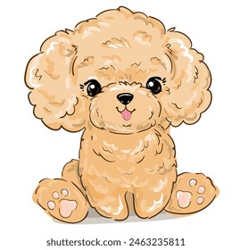 Hand drawn Cute Poodle vector illustration, kids trend print design