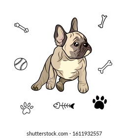 Hand drawn cute pug on white background.