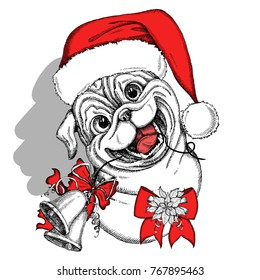 Hand drawn Cute Pug in a red Santa Claus hat with bow and Christmas flower red Poinsettia and Christmas bells