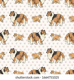 Hand drawn cute rough collie breed dog and puppy seamless vector pattern. Purebred pedigree puppy domestic dog on paw background. Dog lover sheepdog pet all over print. Kennel pooch. EPS 10. 