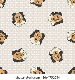 Hand drawn cute rough collie puppy dog face seamless vector pattern. Purebred pedigree puppy domestic dog on paw background. Dog lover sheepdog pet all over print. Kennel pooch. EPS 10. 