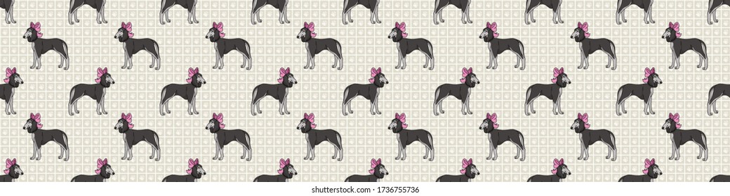 Hand drawn cute saluki dog with pink bow seamless vector border. Purebred pedigree domestic dog on paw background. Dog lover pet all over print. Kennel pooch. EPS 10. 