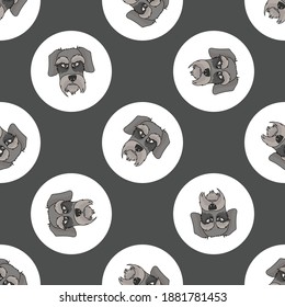 Hand drawn cute Schnauzer dog face breed in polka dot seamless vector pattern. Purebread pedigree puppy domestic on dotty background. Dog lover German head all over print. Kennel club pooch. 