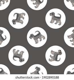 Hand drawn cute schnauzer dog breed in polka dot seamless vector pattern. Purebred pedigree puppy domestic on dotty background. Dog lover terrier all over print. Kennel club pooch. 