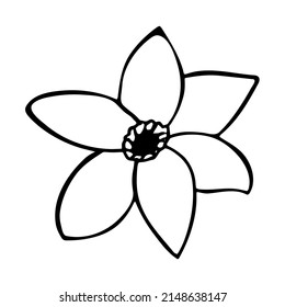 Hand drawn cute single doodle flower. A wedding flower for the invitation card. Vector illustration isolated on white background. Gardening season concept.