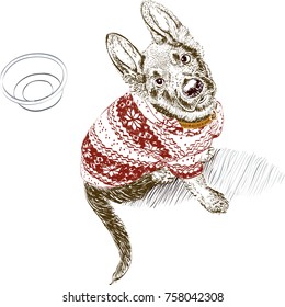 Hand drawn of a cute sitting puppy in a christmas pullover near a bowl on white background